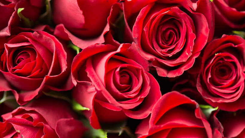 お花の香りがするワイン5選 ワインでよく使われるアカシア スイカズラ ジャスミン スミレ バラの香りがするワインを集めました すずきcellar