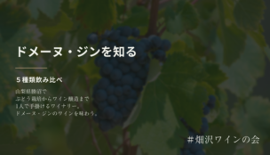 ドメーヌ・ジンを知る会。木更津から山梨へ。ワイナリーを作った渡邊さんの日本ワイン飲み比べ【畑沢ワインの会】